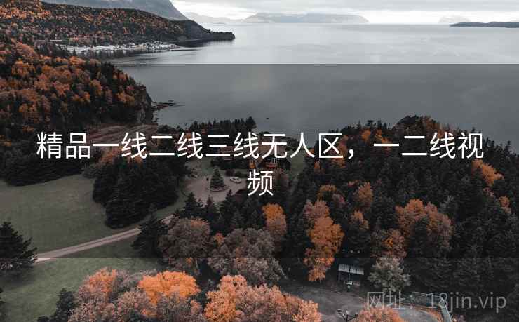 精品一线二线三线无人区，一二线视频  第2张