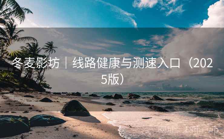 冬麦影坊｜线路健康与测速入口（2025版）  第1张