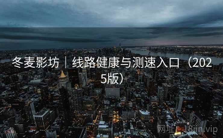 冬麦影坊｜线路健康与测速入口（2025版）  第2张
