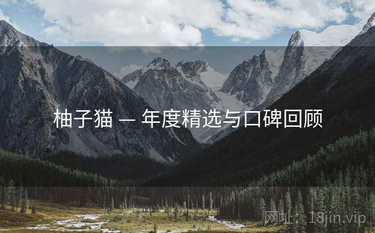 柚子猫 — 年度精选与口碑回顾  第1张