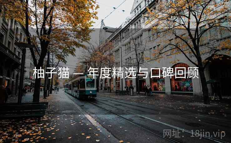 柚子猫 — 年度精选与口碑回顾  第2张