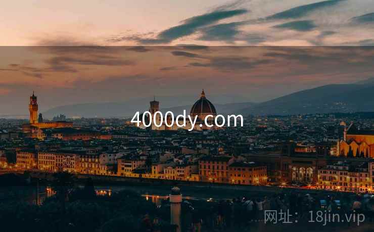 4000dy.com  第1张