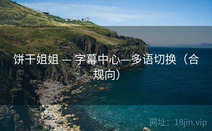 饼干姐姐 — 字幕中心—多语切换（合规向）  第1张