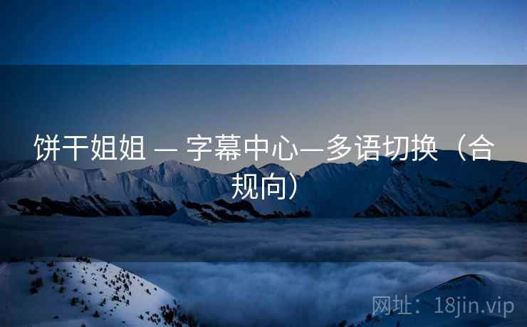 饼干姐姐 — 字幕中心—多语切换（合规向）  第2张